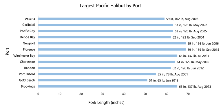 largest halibut in Oregon grapsh