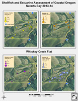 Whiskey Creek Flat