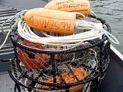 Shellfish research projects and results