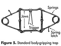 Standard body-gripping trap