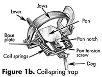 Coil-spring trap