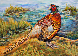 Ring-Necked Pheasant