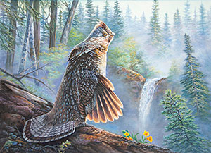 Ruffed Grouse