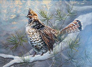 Ruffed Grouse