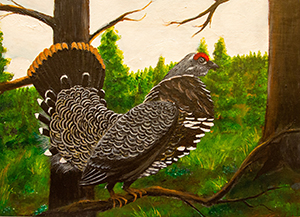 Spruce Grouse