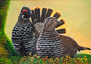 Spruce Grouse