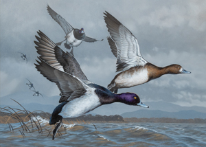 Waterfowl Stamp Art