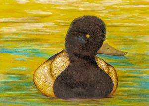 Waterfowl Stamp Art