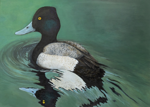 Waterfowl Stamp Art