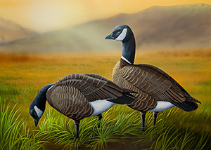 Waterfowl Stamp Art