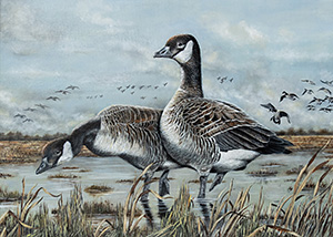 Waterfowl Stamp Art