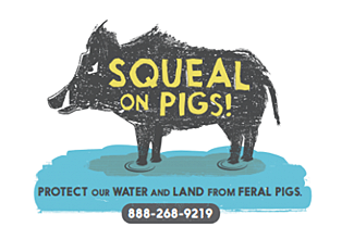 Squeal on pigs logo